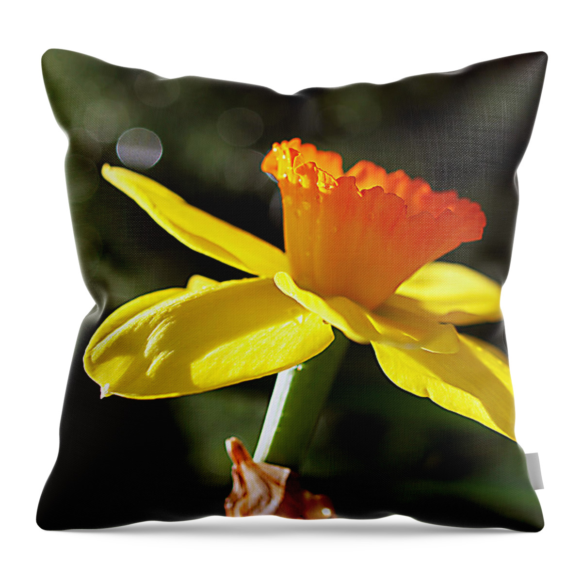 Daffodil Throw Pillow featuring the photograph Wide Open by Joe Schofield