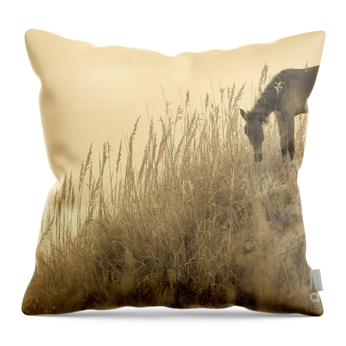 Horse Throw Pillow featuring the photograph Wild Horse on the Outer Banks #2 by Diane Diederich