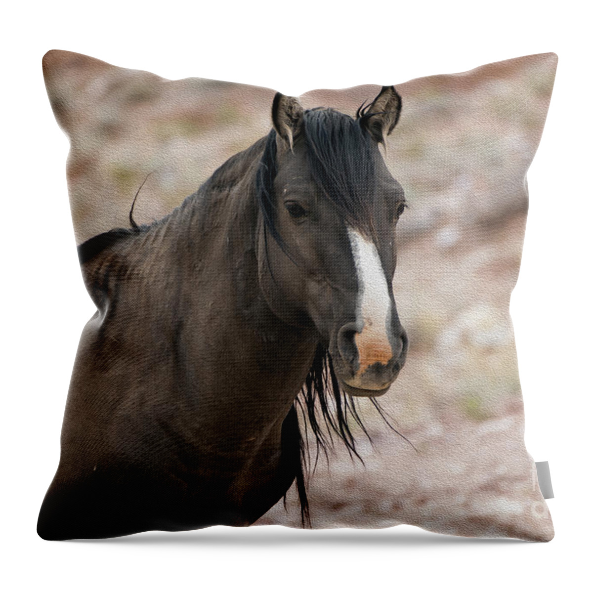 Wild Horse Throw Pillow featuring the photograph Wild One by Wildlife Fine Art