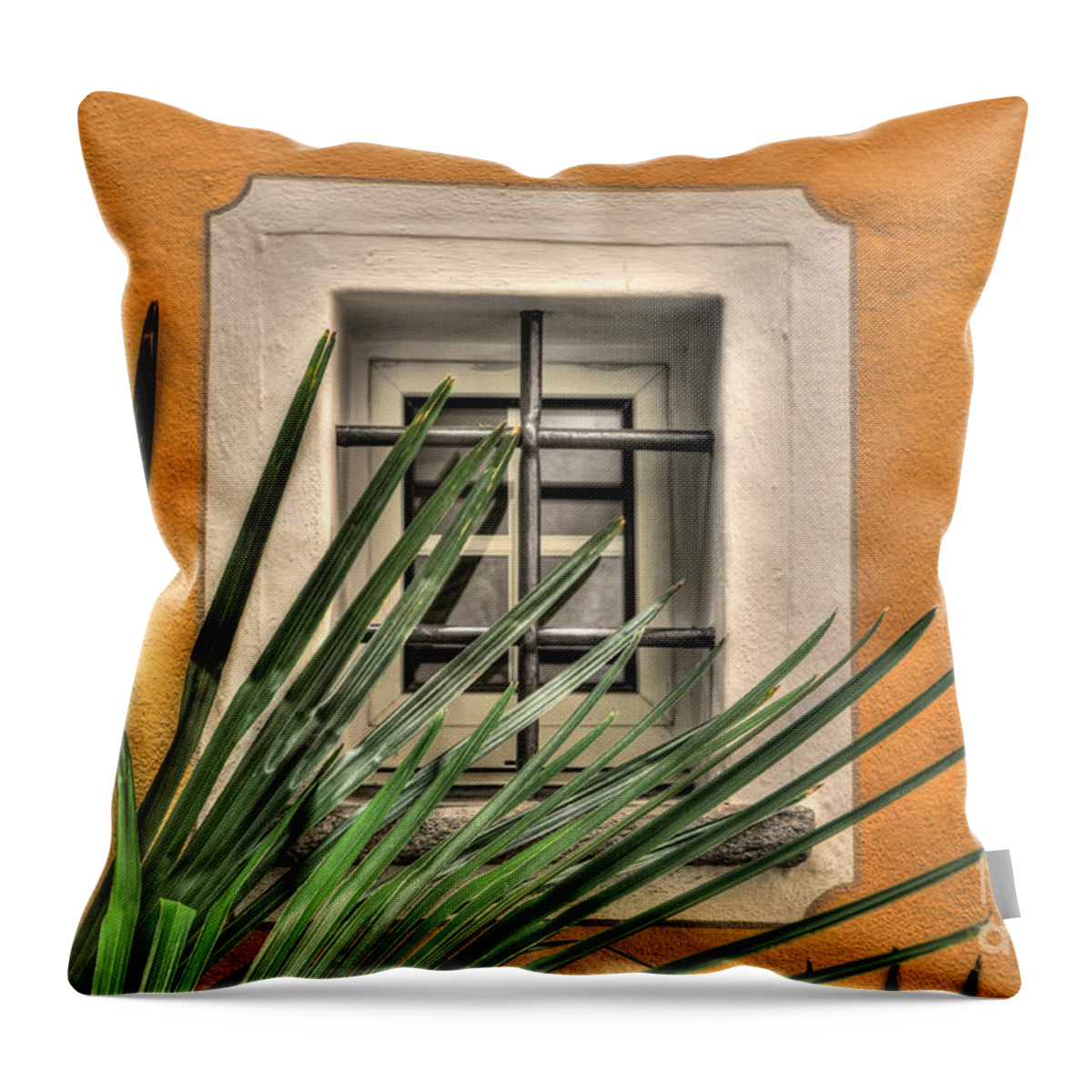 Window Throw Pillow featuring the photograph Window #1 by Mats Silvan