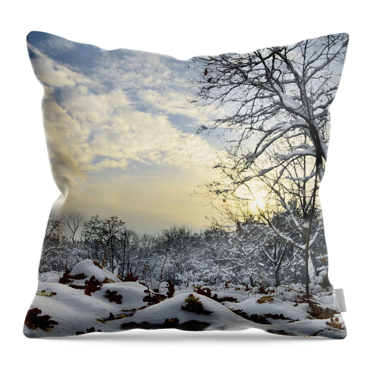 Winter Throw Pillow featuring the photograph Winter Landscape #3 by Jelena Jovanovic