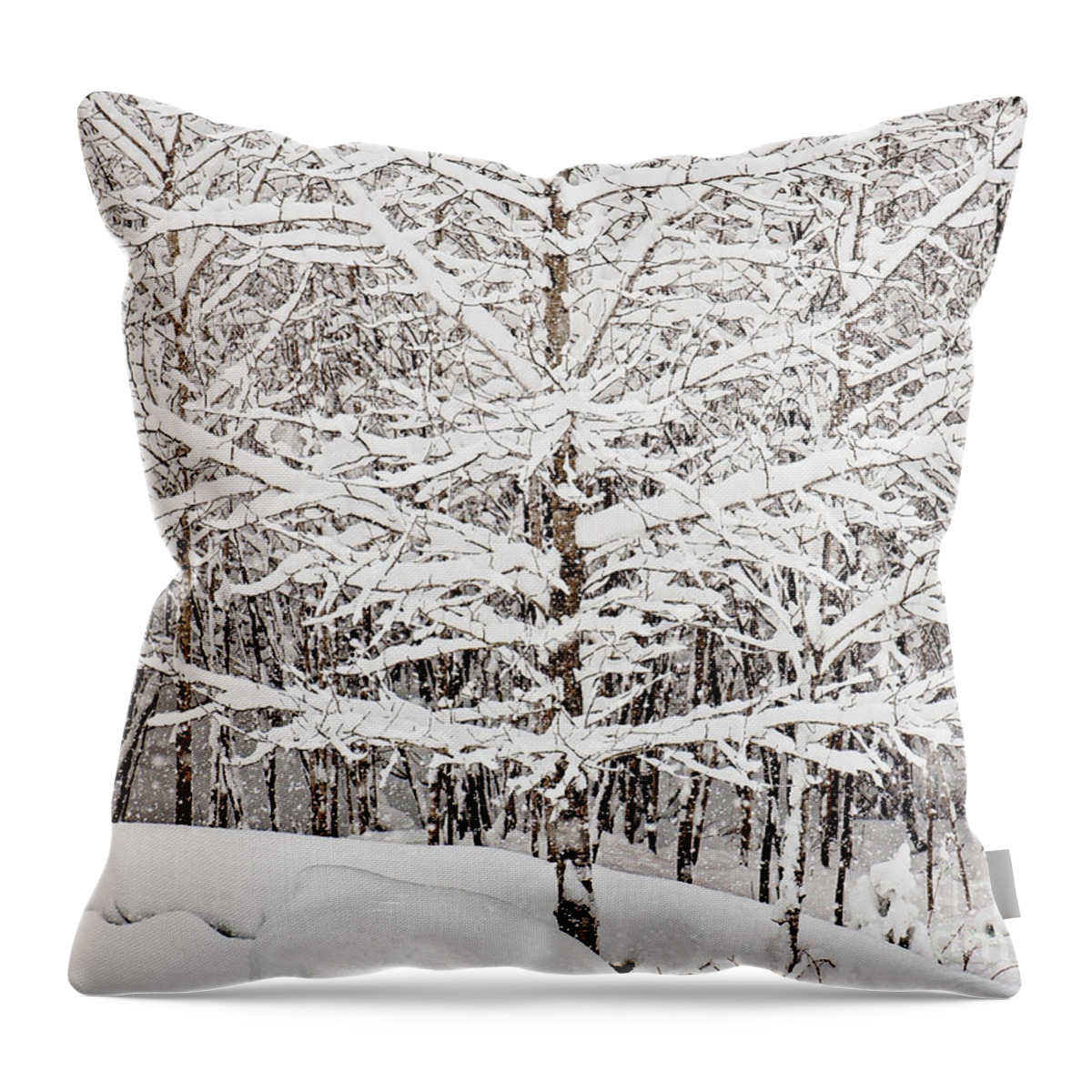 Winter Store Print Throw Pillow featuring the photograph Winter Storm Print #1 by Gwen Gibson