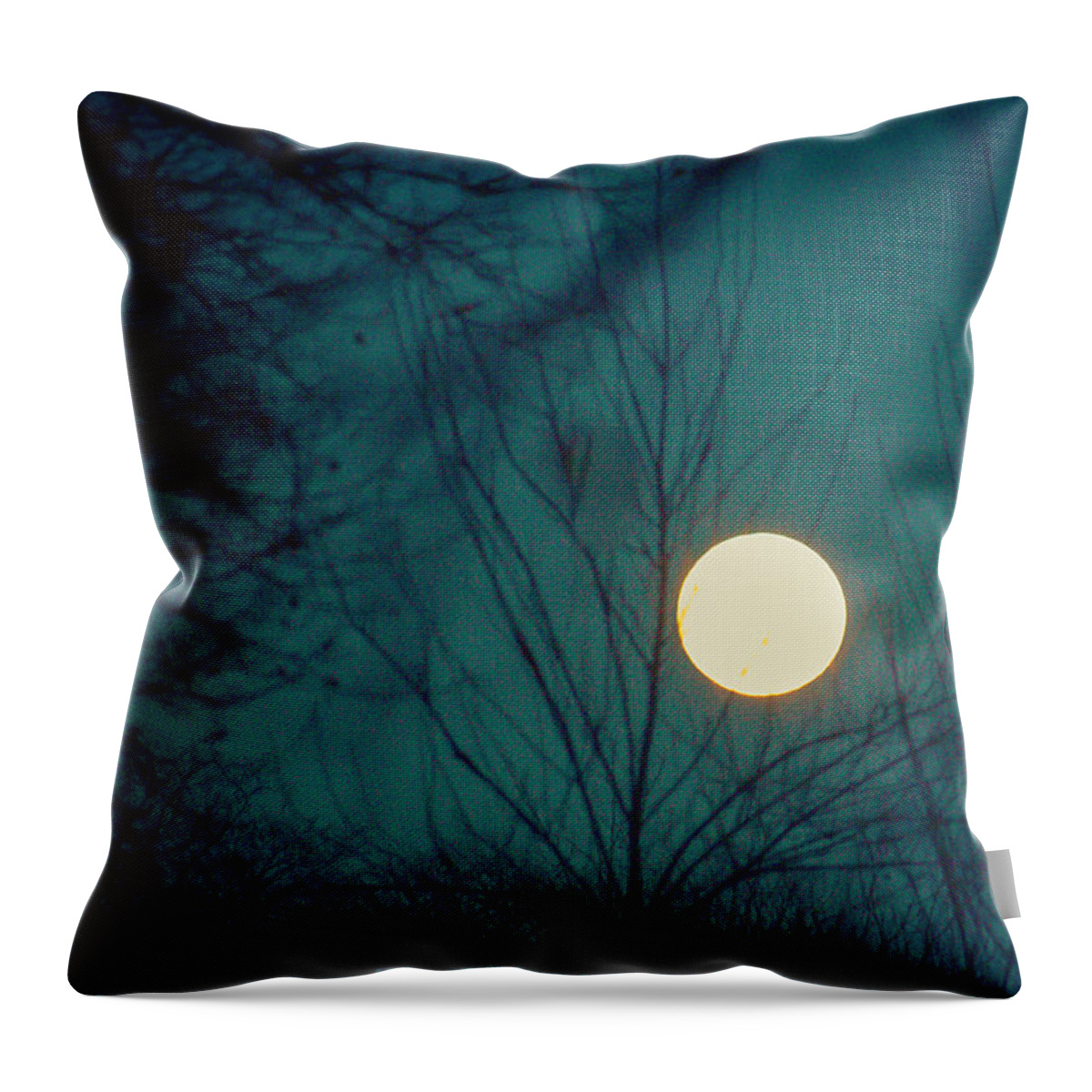 Winter Throw Pillow featuring the photograph Winter's Light #1 by Sara Frank