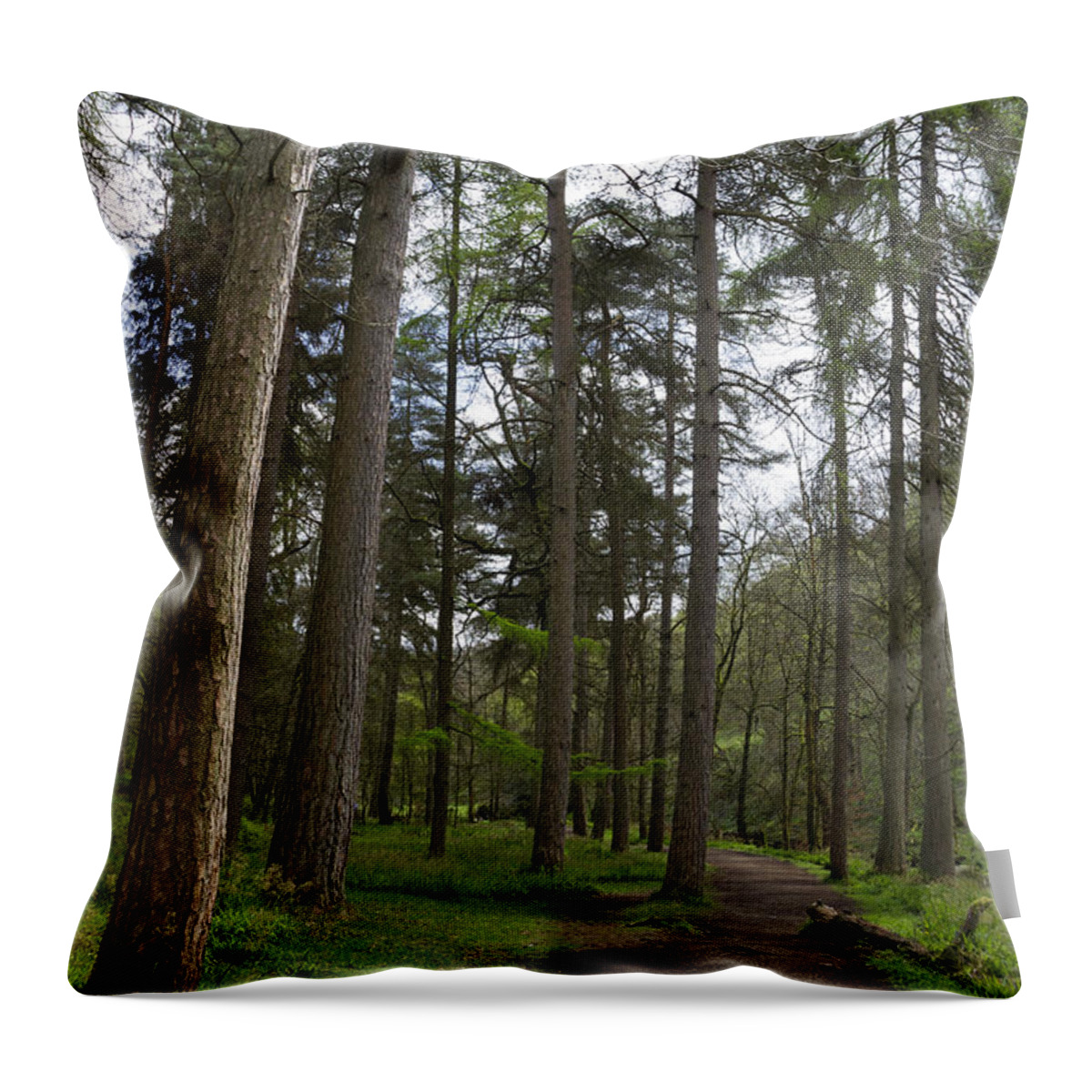 Path Throw Pillow featuring the photograph Woodland path #1 by Chris Smith