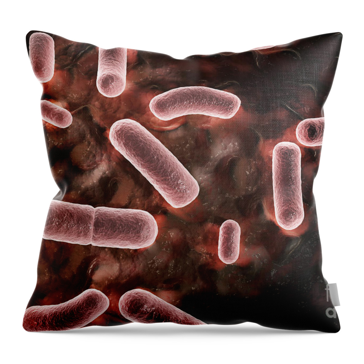Pathogenic Bacteria Throw Pillow featuring the photograph Yersinia Pestis Black Plague #1 by Science Picture Co
