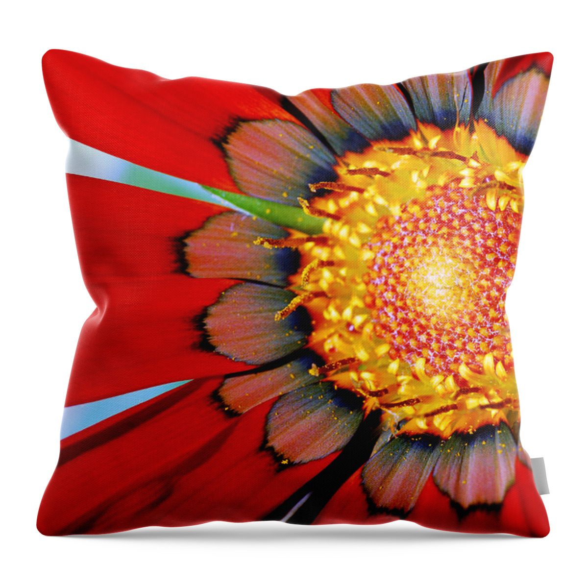 Zinnia Throw Pillow featuring the photograph Zinnia In Red by Wendy Wilton