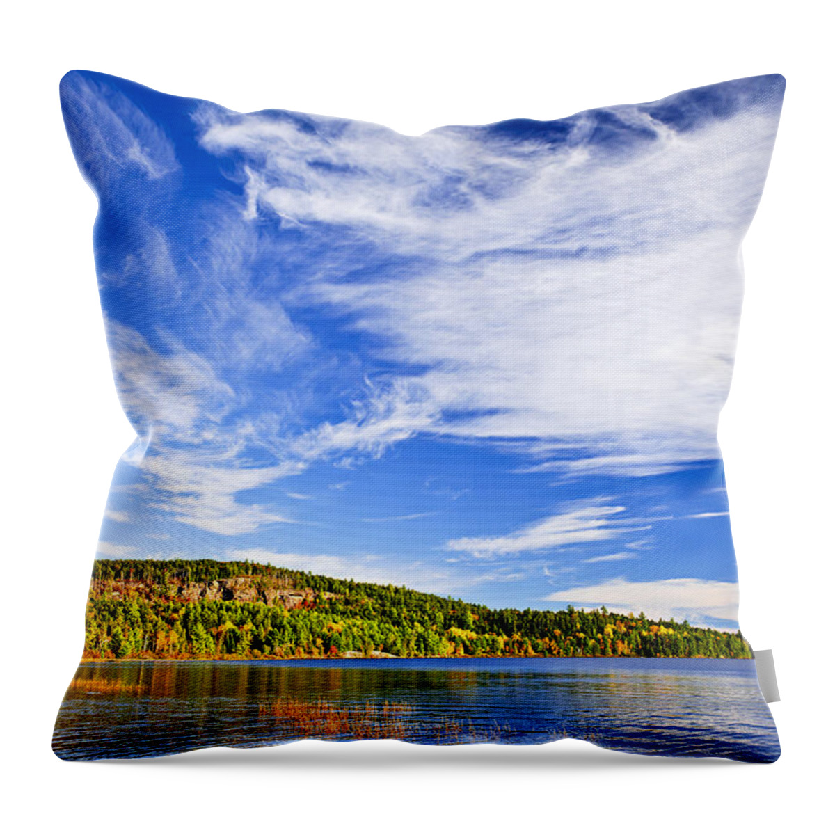 Autumn Throw Pillow featuring the photograph Fall forest and lake 5 by Elena Elisseeva