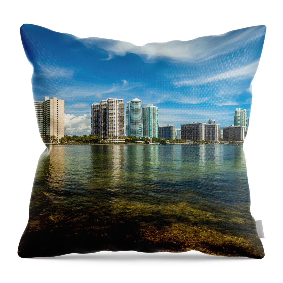 Architecture Throw Pillow featuring the photograph Miami Skyline #10 by Raul Rodriguez