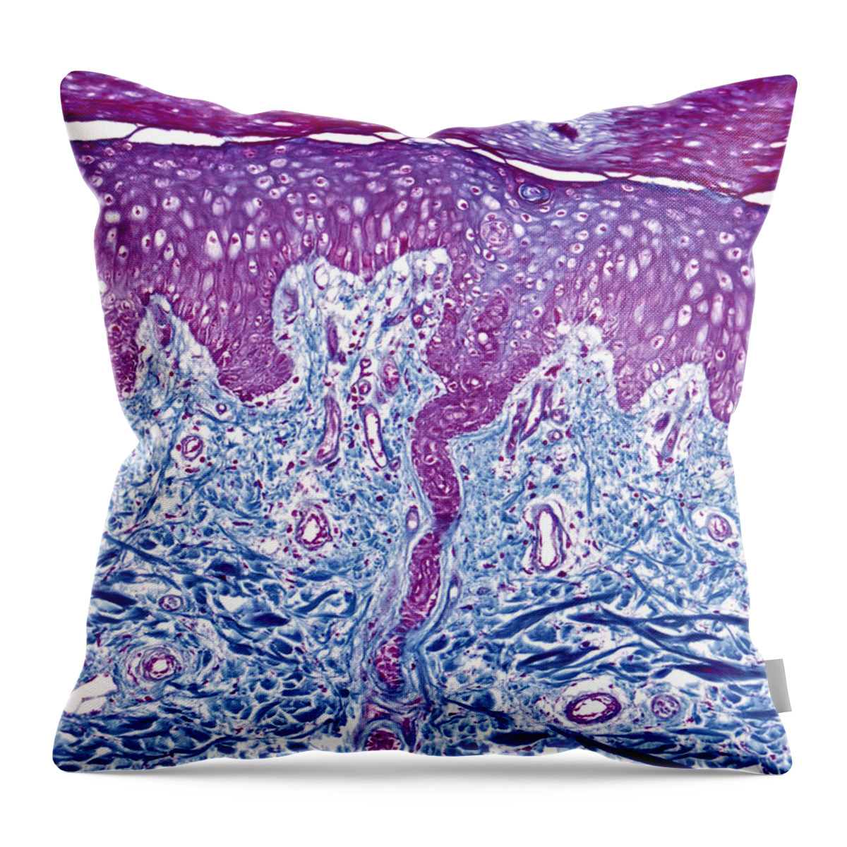 Skin Throw Pillow featuring the photograph Skin, Lm #9 by Alvin Telser