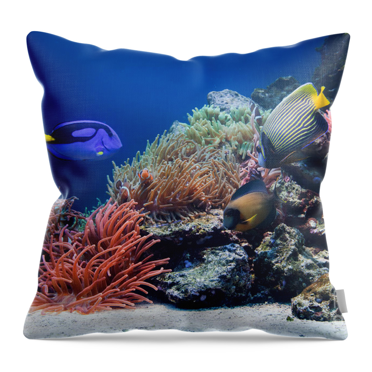 Fish Throw Pillow featuring the photograph Underwater life #10 by Michal Bednarek