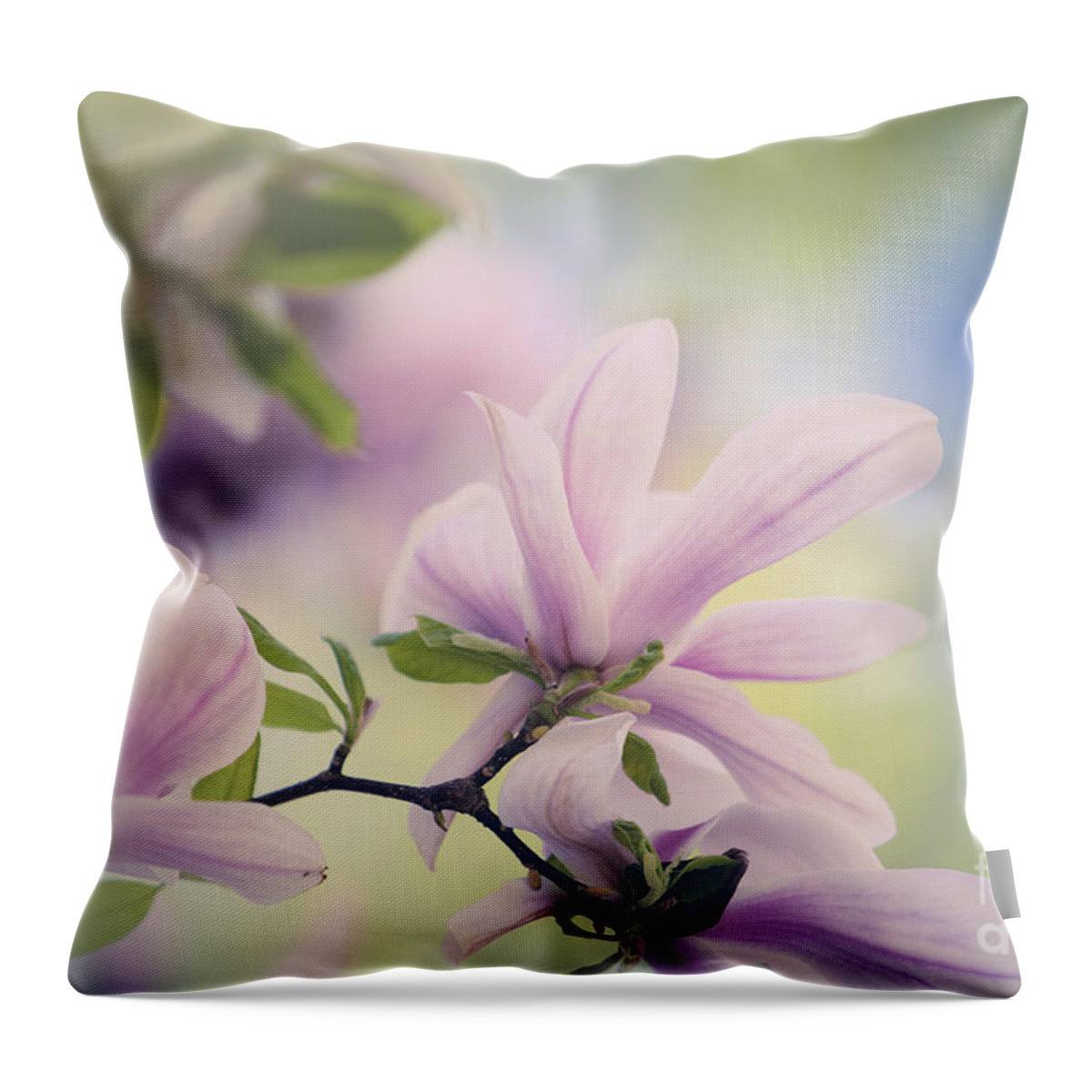Magnolia Throw Pillow featuring the photograph Magnolia Flowers #11 by Nailia Schwarz