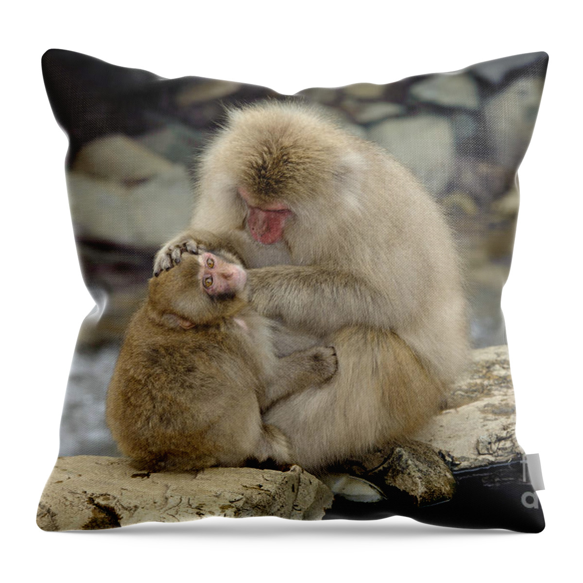 Japanese Macaque Throw Pillow featuring the photograph Snow Monkeys #11 by John Shaw
