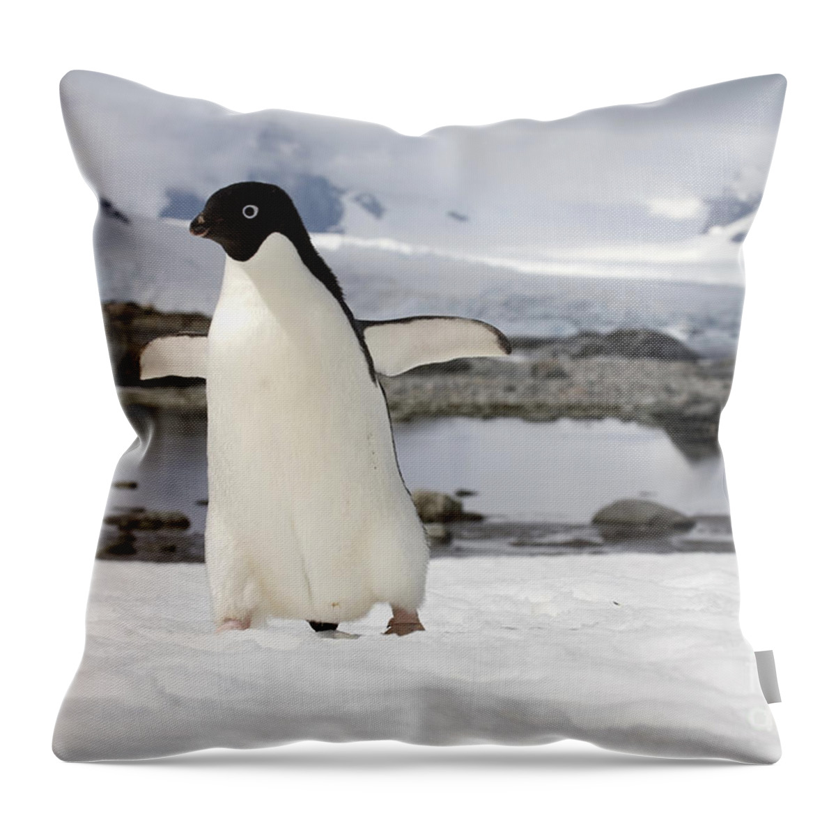 Adelie Throw Pillow featuring the photograph 111130p152 by Arterra Picture Library