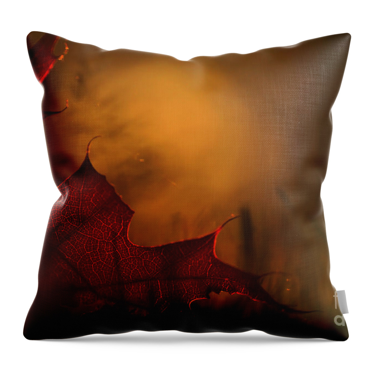 Northern Red Oak Throw Pillow featuring the photograph 111230p317 by Arterra Picture Library