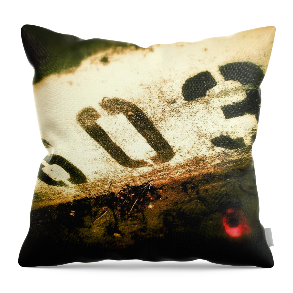Street Number City Throw Pillow featuring the photograph 11603 by Olivier Calas