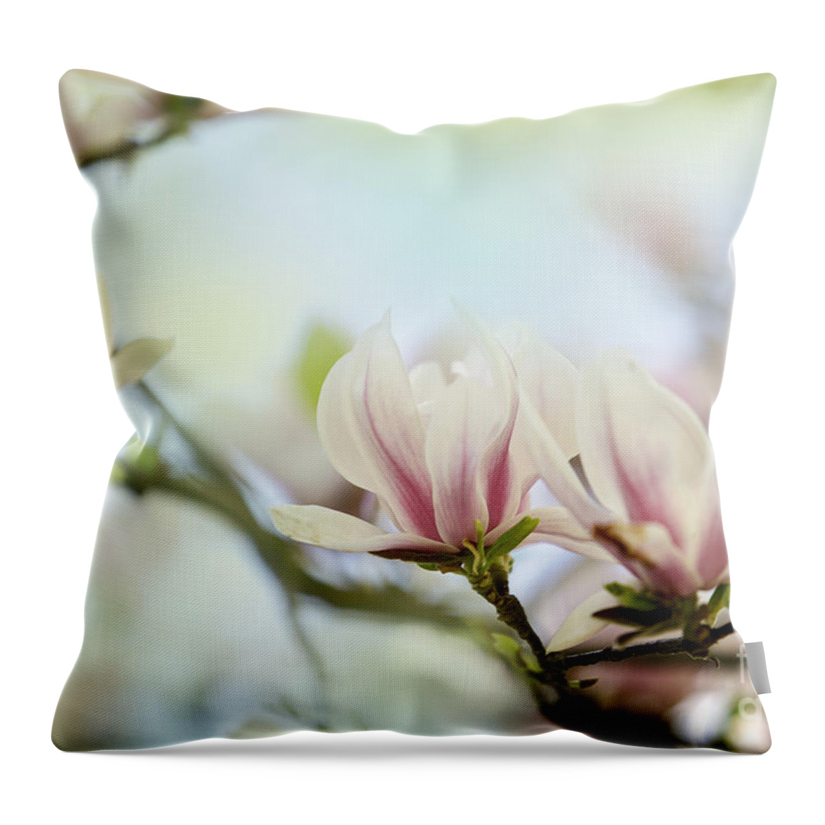 Magnolia Throw Pillow featuring the photograph Magnolia Flowers #12 by Nailia Schwarz