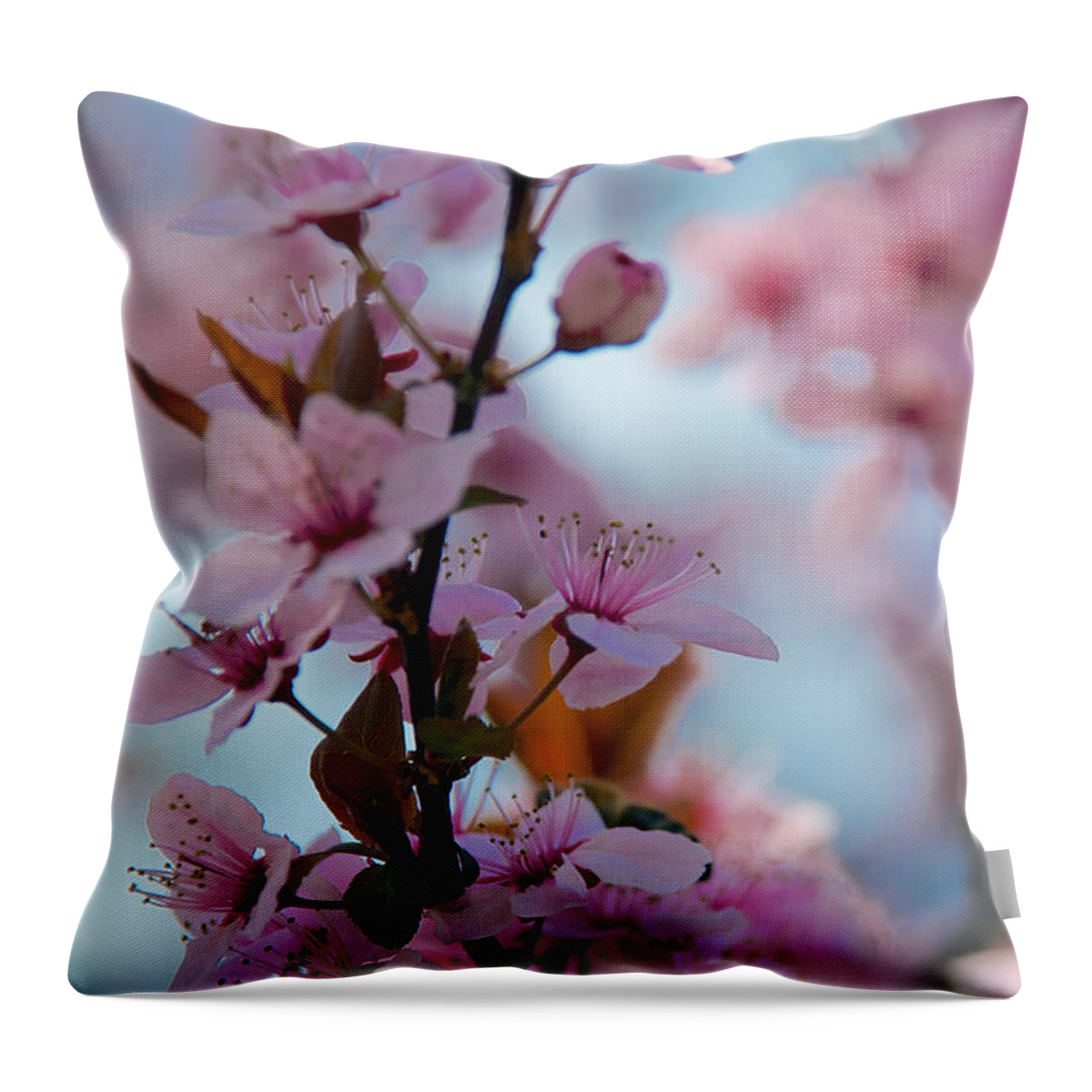 Buds Throw Pillow featuring the photograph Plum Tree Flowers #12 by Mark Dodd