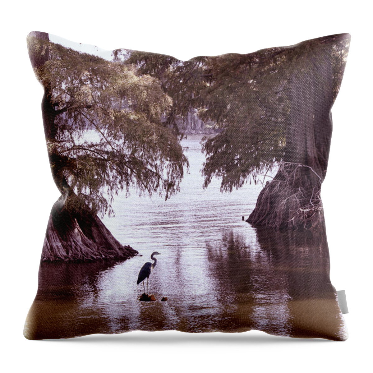 Landscape Throw Pillow featuring the photograph Reelfoot Lake #12 by Bonnie Willis