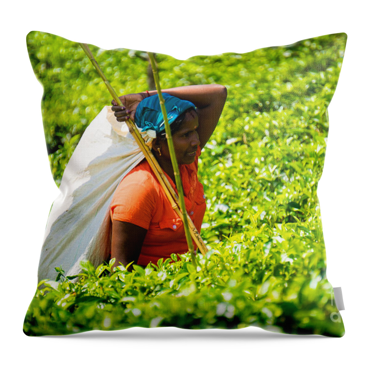 Asia Throw Pillow featuring the photograph Sri Lanka #12 by Milena Boeva