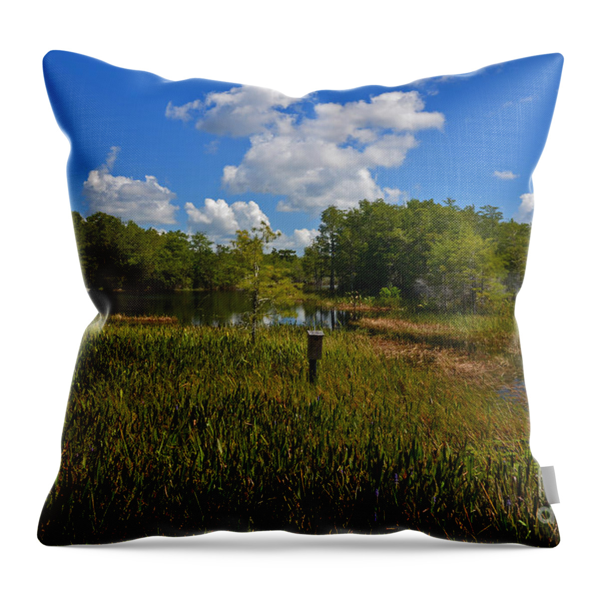  Throw Pillow featuring the photograph 13- Florida Everglades by Joseph Keane