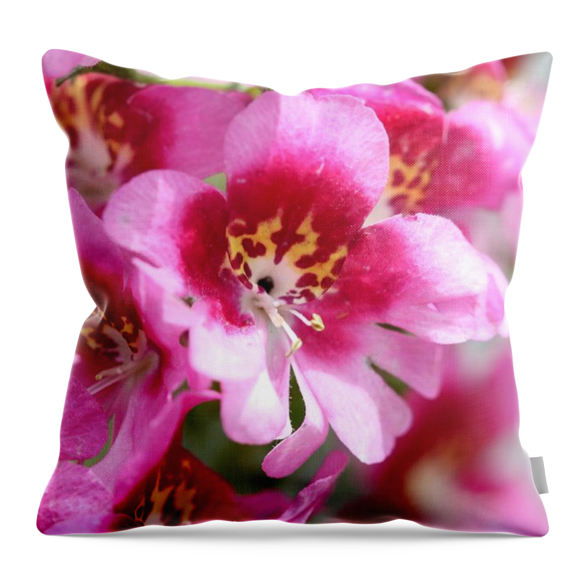 Mccombie Throw Pillow featuring the photograph Schizanthus from the Hit Parade Mix #13 by J McCombie