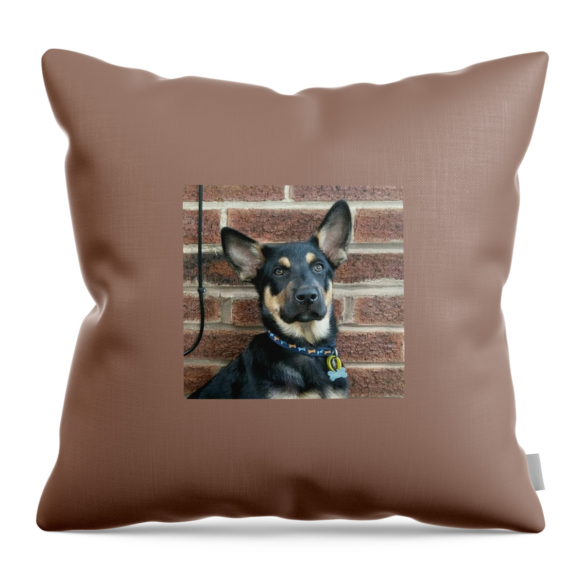 Germanshepherd Throw Pillow featuring the photograph 13 Weeks Old Mr Darcy by Abbie Shores