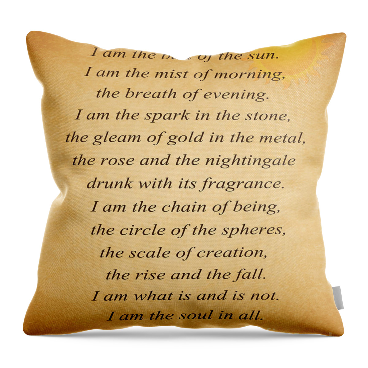 Rumi Throw Pillow featuring the photograph 134- Rumi by Joseph Keane