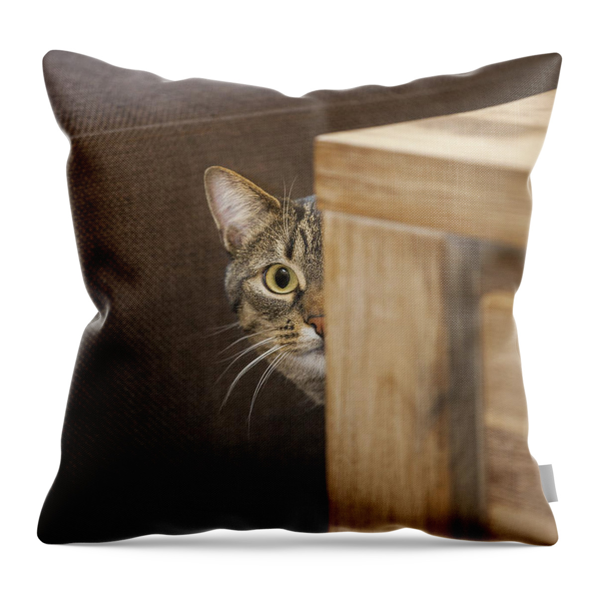Shy Throw Pillow featuring the photograph 140221p230 by Arterra Picture Library