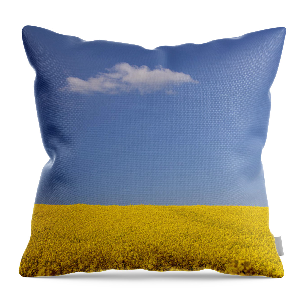 Rape Throw Pillow featuring the photograph 141114p154 by Arterra Picture Library