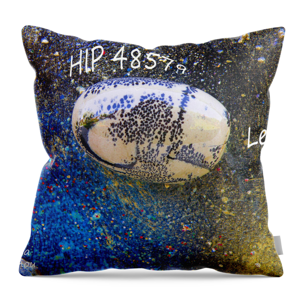 Augusta Stylianou Throw Pillow featuring the painting Barack Obama Star #12 by Augusta Stylianou