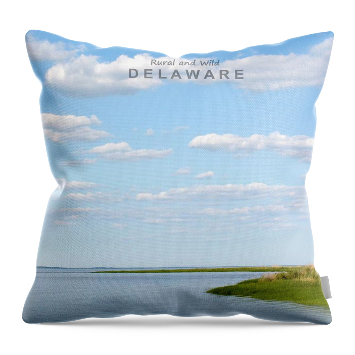 Delaware Throw Pillow featuring the photograph Delaware #15 by American Roadside