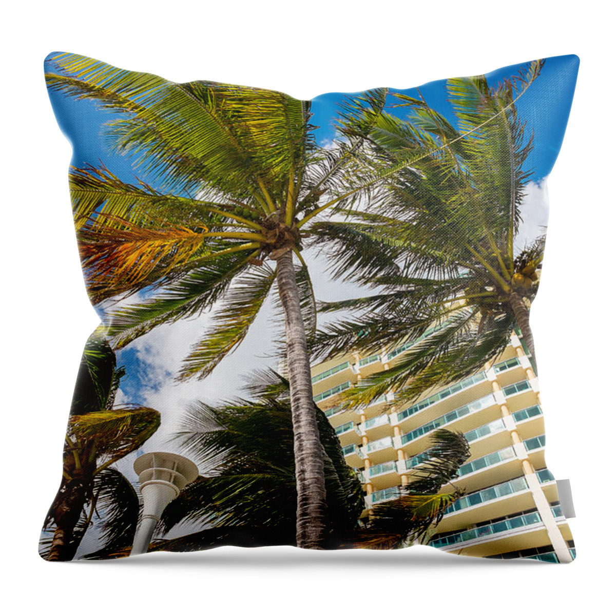 Architecture Throw Pillow featuring the photograph Miami Beach #16 by Raul Rodriguez