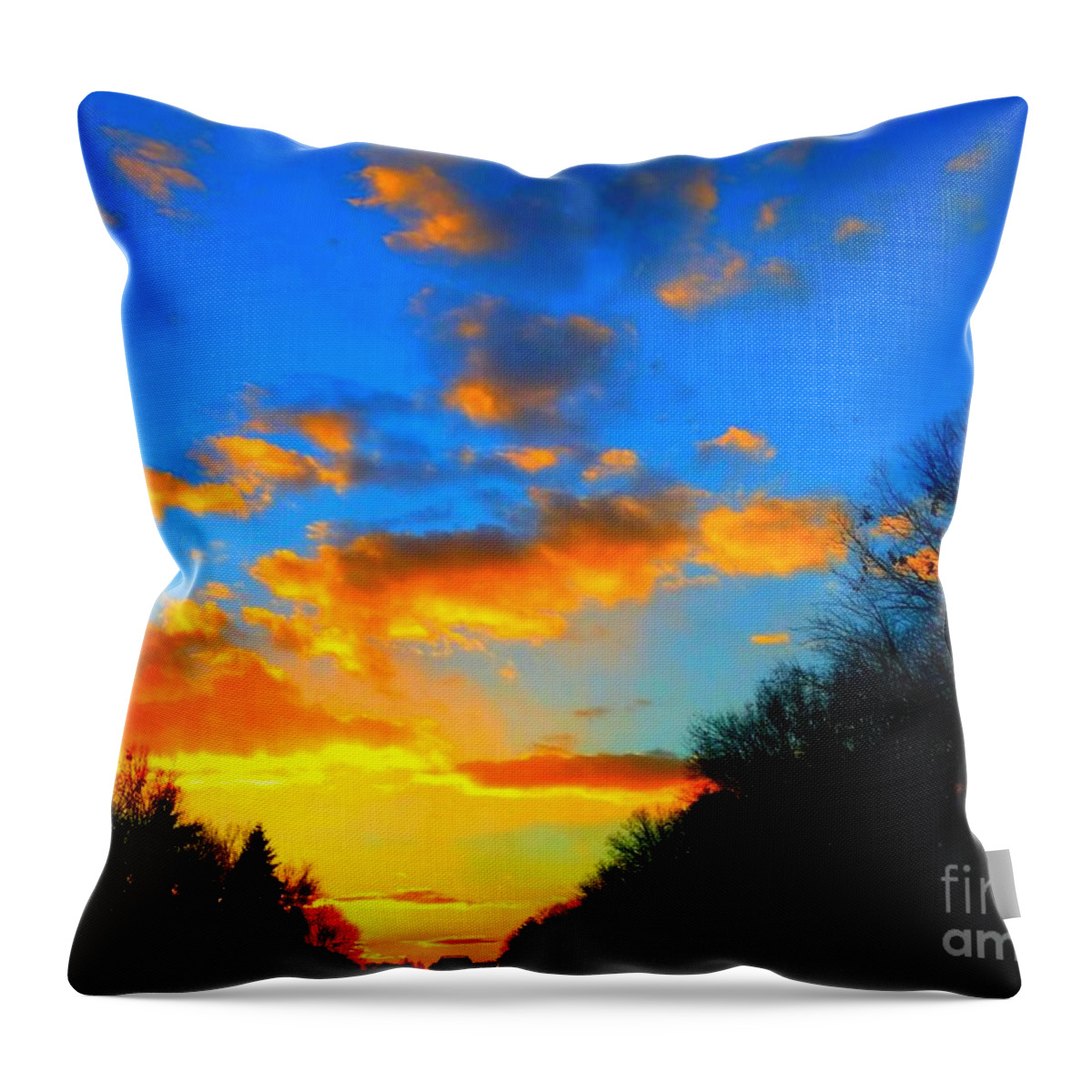 Sunset. Trees. Sky.cloud. Winter.photography. Landscape. Rose Wang Image Throw Pillow featuring the photograph Sunset #5 by Rose Wang
