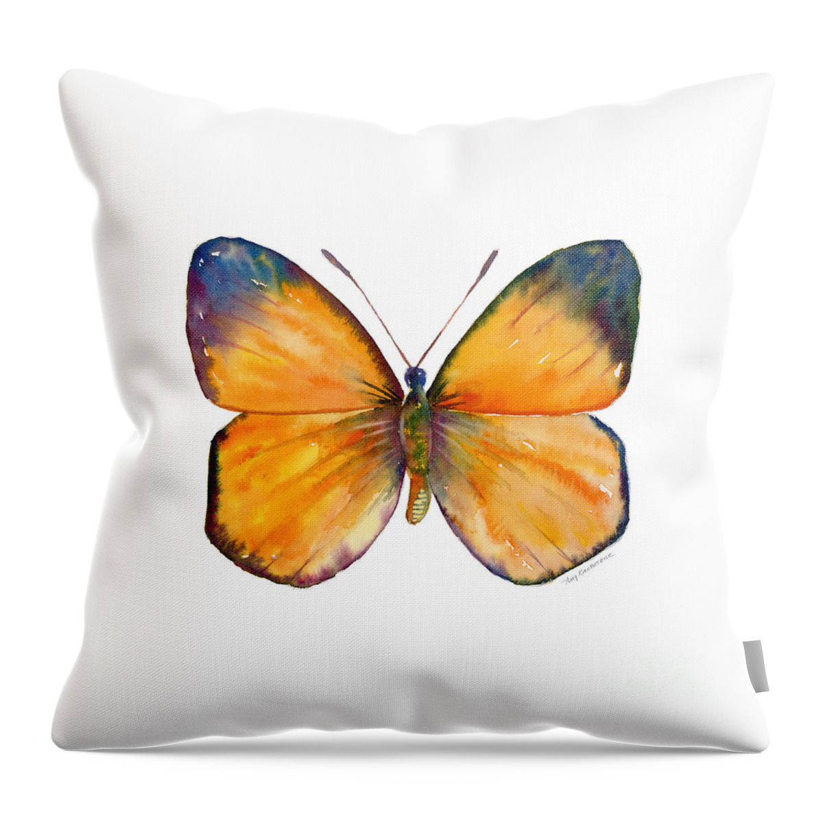 Delias Throw Pillow featuring the painting 19 Delias Aruna Butterfly by Amy Kirkpatrick