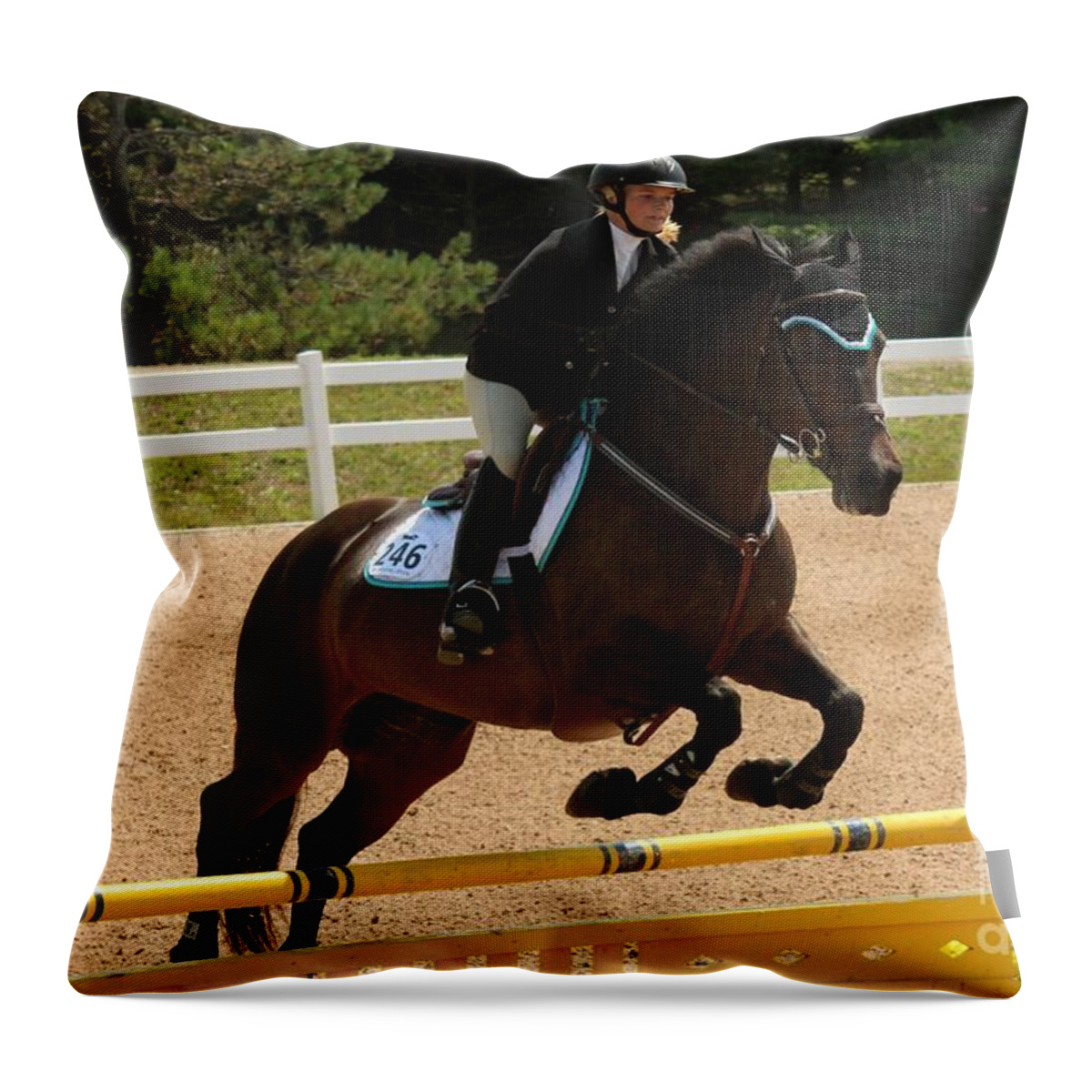 Horse Throw Pillow featuring the photograph 1jumper44 by Janice Byer