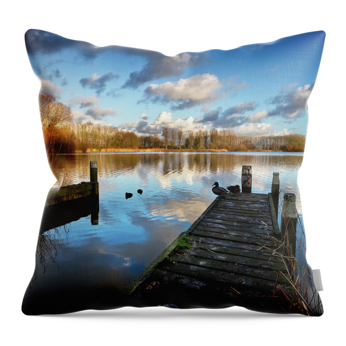 Tranquility Throw Pillow featuring the photograph 1st January by Ellen Van Bodegom