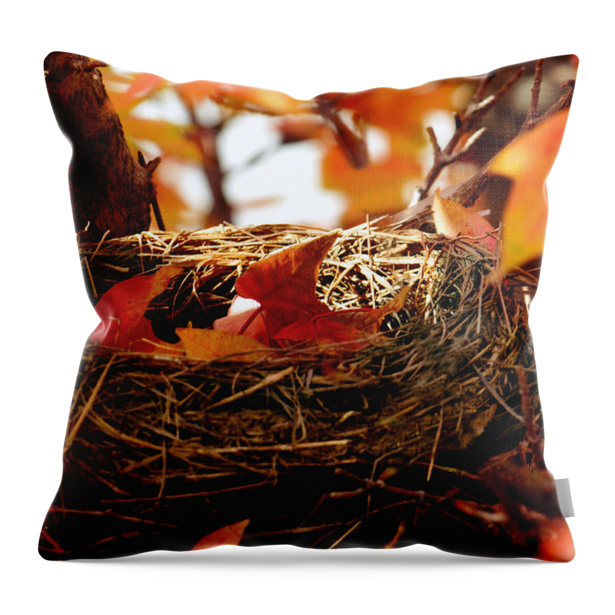 Autumn Throw Pillow featuring the photograph A Clutch of Color #2 by Jason Politte