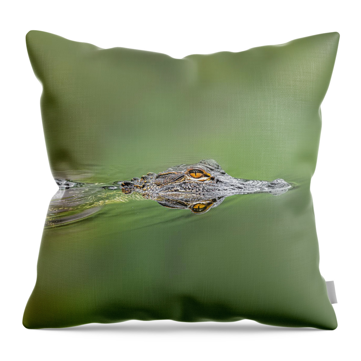 Aggression Throw Pillow featuring the photograph Alligator #2 by Peter Lakomy