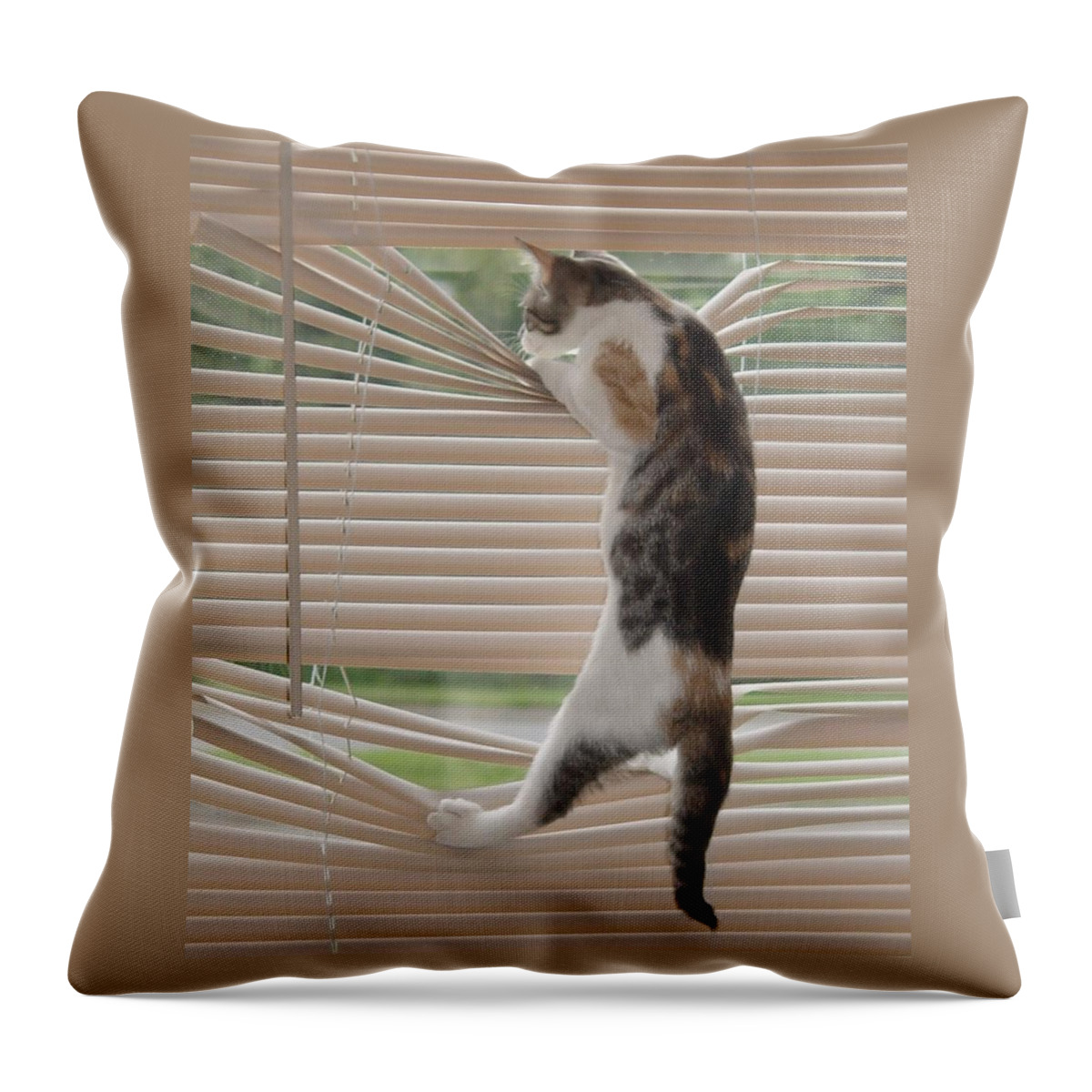 Ana Lucia Levelor Throw Pillow featuring the photograph Ana Lucia Levelor by Elizabeth Sullivan