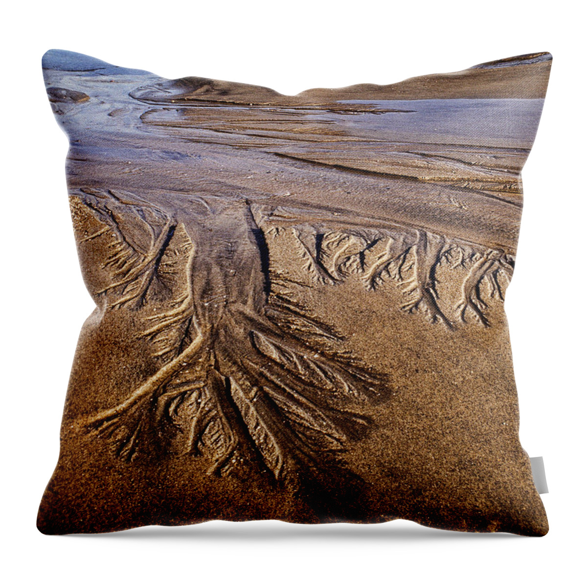 Design Throw Pillow featuring the photograph Artwork Of The Tides by Gary Slawsky