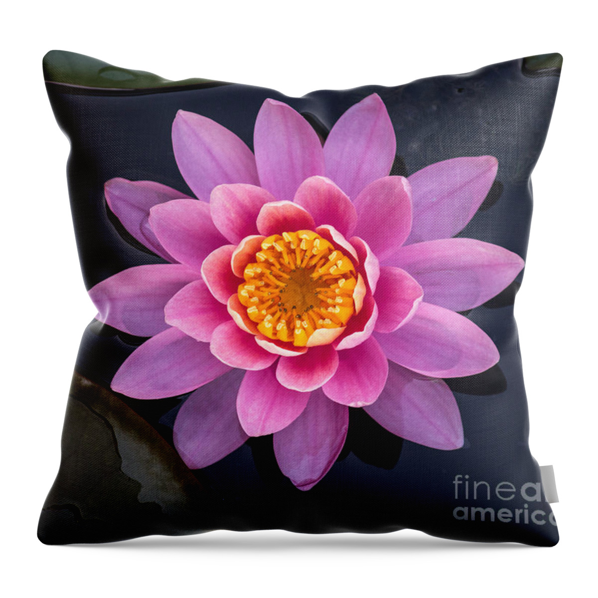Lily Throw Pillow featuring the photograph Beauty #1 by Arlene Carmel