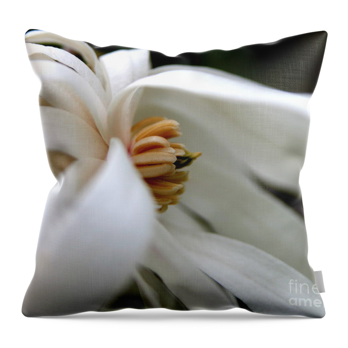Flower Throw Pillow featuring the photograph Blown Away #1 by Neal Eslinger