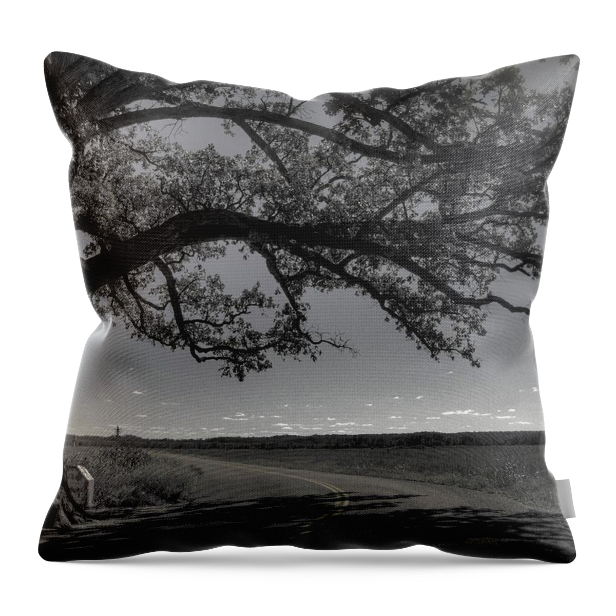 Bur Oak Tree Throw Pillow featuring the photograph Burr Oak Tree #2 by Jane Linders