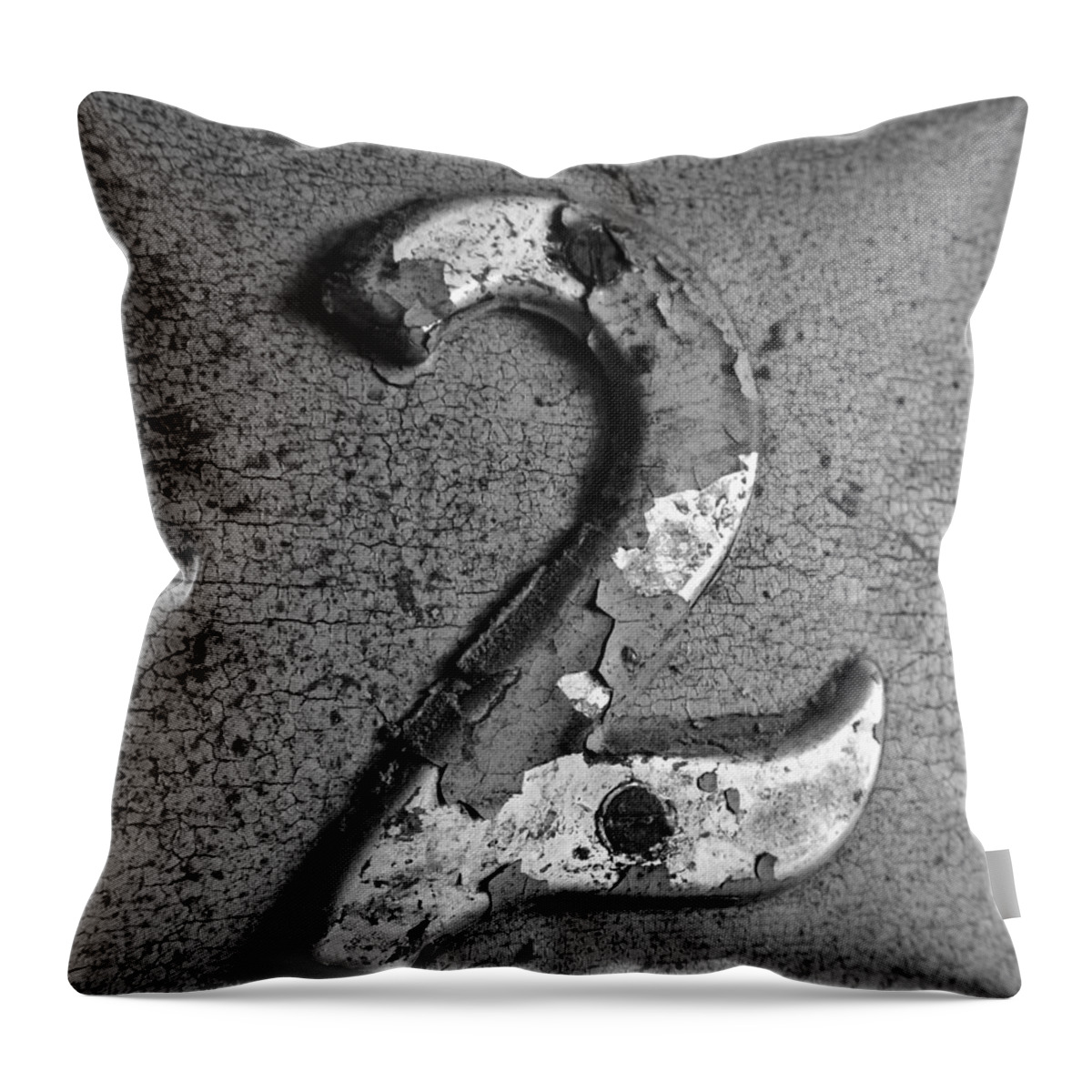 2 Throw Pillow featuring the photograph 2 Bw by Elizabeth Sullivan
