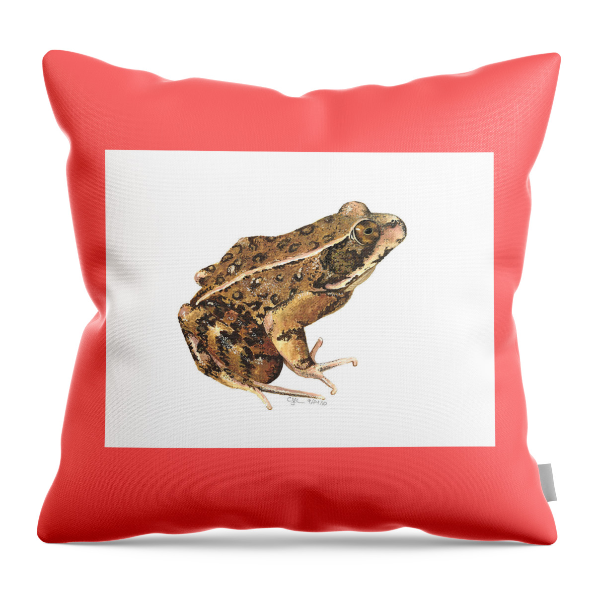California Throw Pillow featuring the painting California Red-legged Frog by Cindy Hitchcock