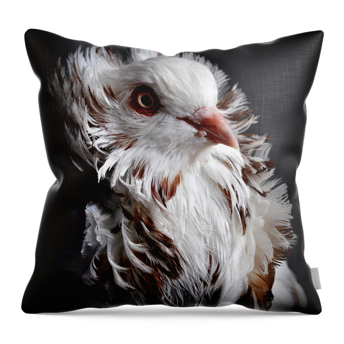 Bird Throw Pillow featuring the photograph Capuchin Pigeon #2 by Nathan Abbott