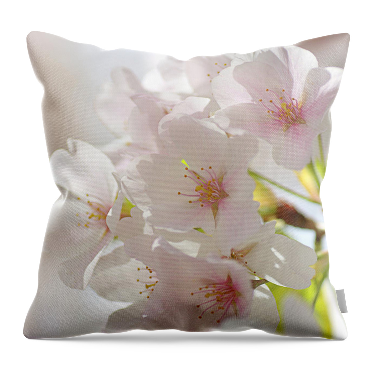 Pink Cherry Blossoms Throw Pillow featuring the photograph Cherry Blossoms #2 by Judy Salcedo