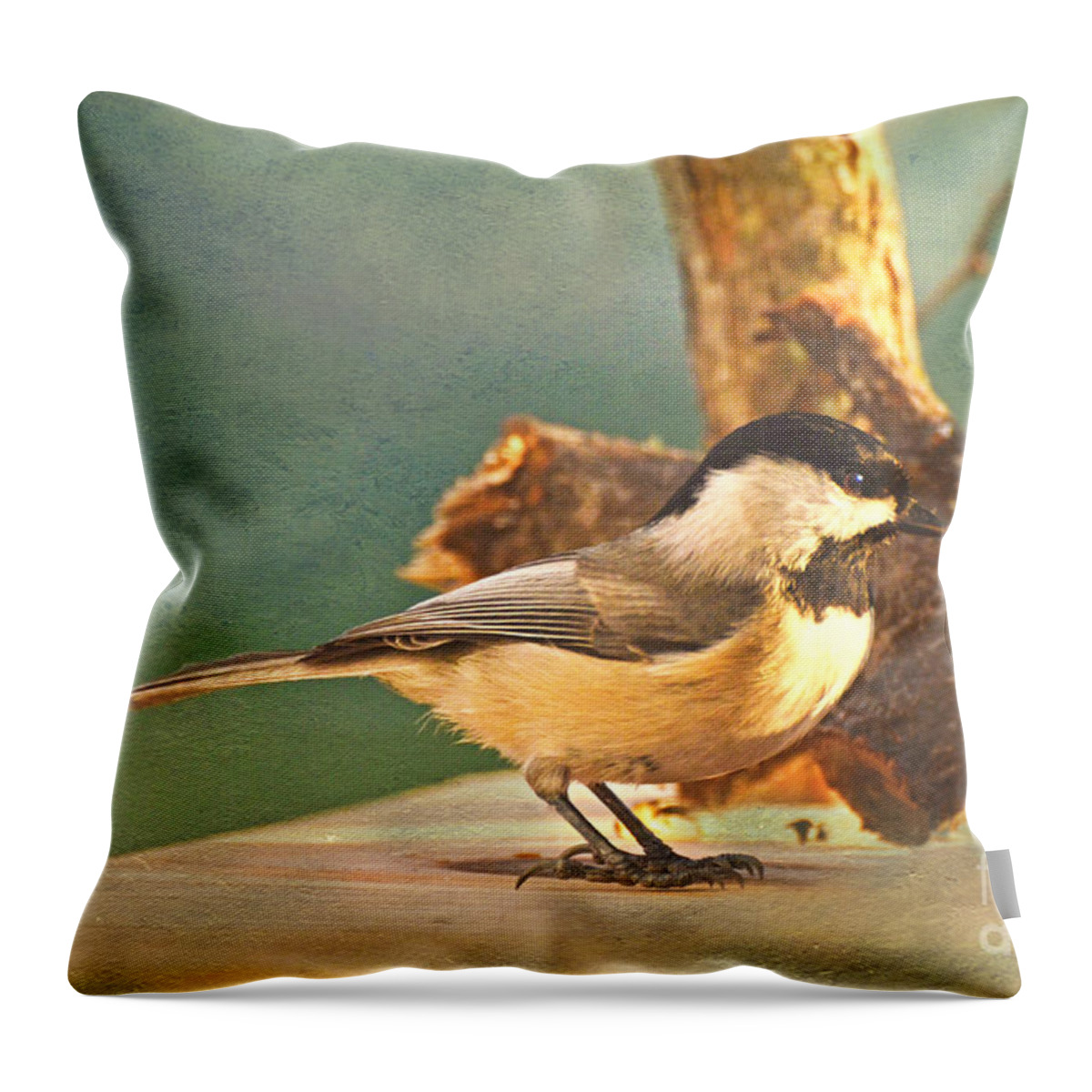 Nature Throw Pillow featuring the photograph Chickadee #2 by Debbie Portwood