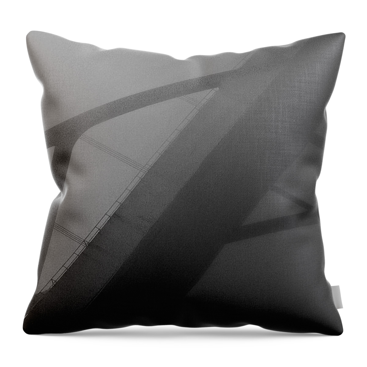 Archetecture Throw Pillow featuring the photograph D. Hoan by Michael Nowotny