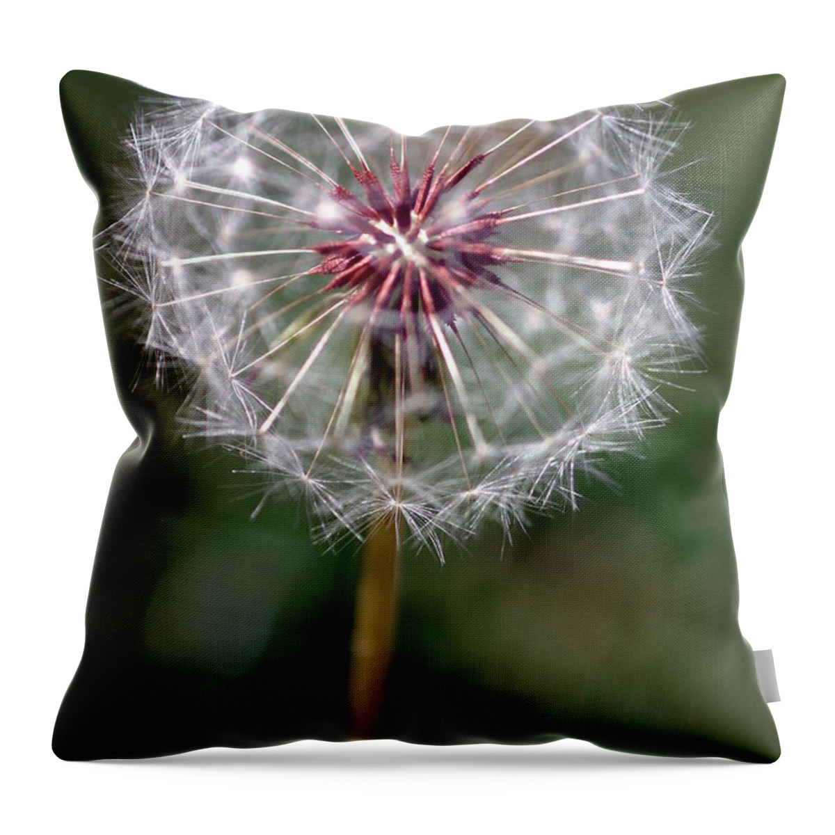 Abstract Throw Pillow featuring the photograph Dandelion Seed Head #2 by Henrik Lehnerer